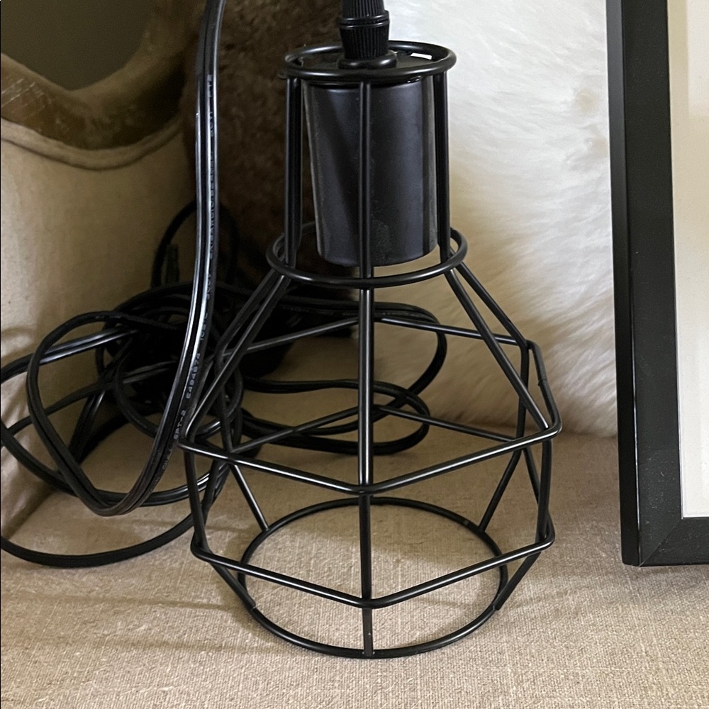 Black Wire Cage Pendant Light